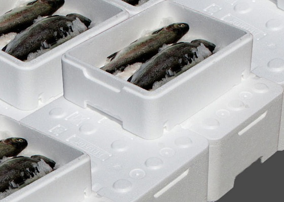 GREENMAX convierta las cajas de pescado en los ingresos nuevos para los productores de pescado del Reino Unido