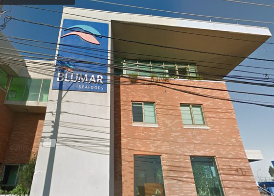 Blumar Seafood- La organización de clase mundial a la pesca y acuicultura en Chile invirtió la prensa de poliestireno Greenmax para procesar las cajas usadas de plumavit