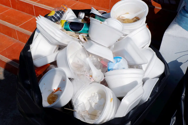 Reciclaje y Reutilización Alimentaria de Poliestireno: Primera Vez en Latinoamérica