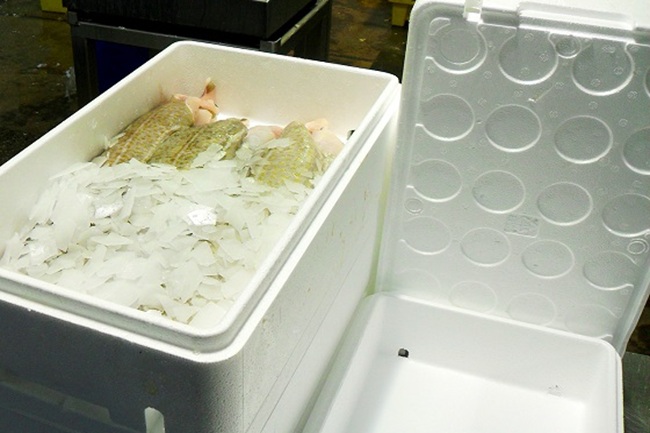 Máquina de Reciclaje de Unicel Ayuda a Recuperar EPS y Aprovechar Eficazmente Desechos en Reino Unido