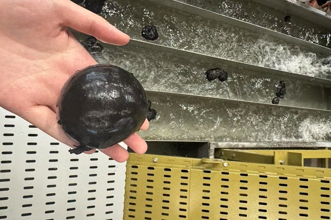 ¿Cómo Afrontar el Reciclaje de EPP de Alta Densidad (70–90 kg/m³)?