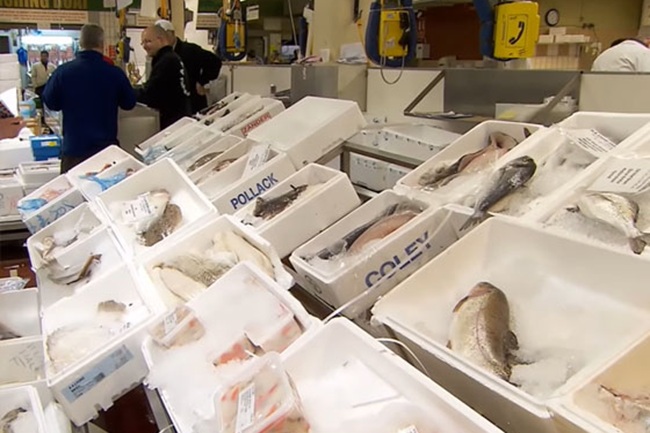 cajas de plumavit para pescado